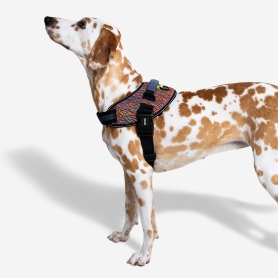 Arnés tipo pechera colección Vortex (Fly Harness) - Imagen 4